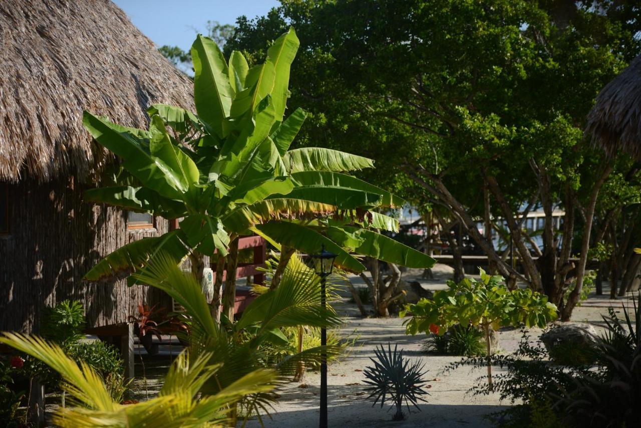 El Ben Cabanas Caye Caulker Esterno foto